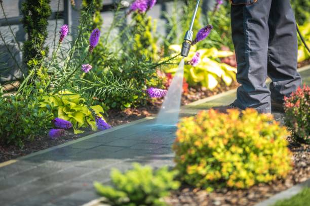 Professional Pressure Washing Services in Lochbuie, CO